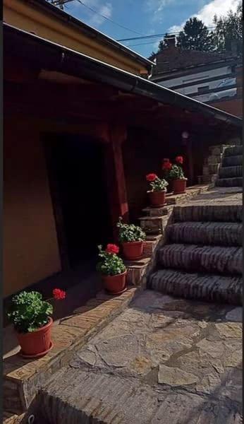 Apartmani Zapis Vrdnik Luaran gambar